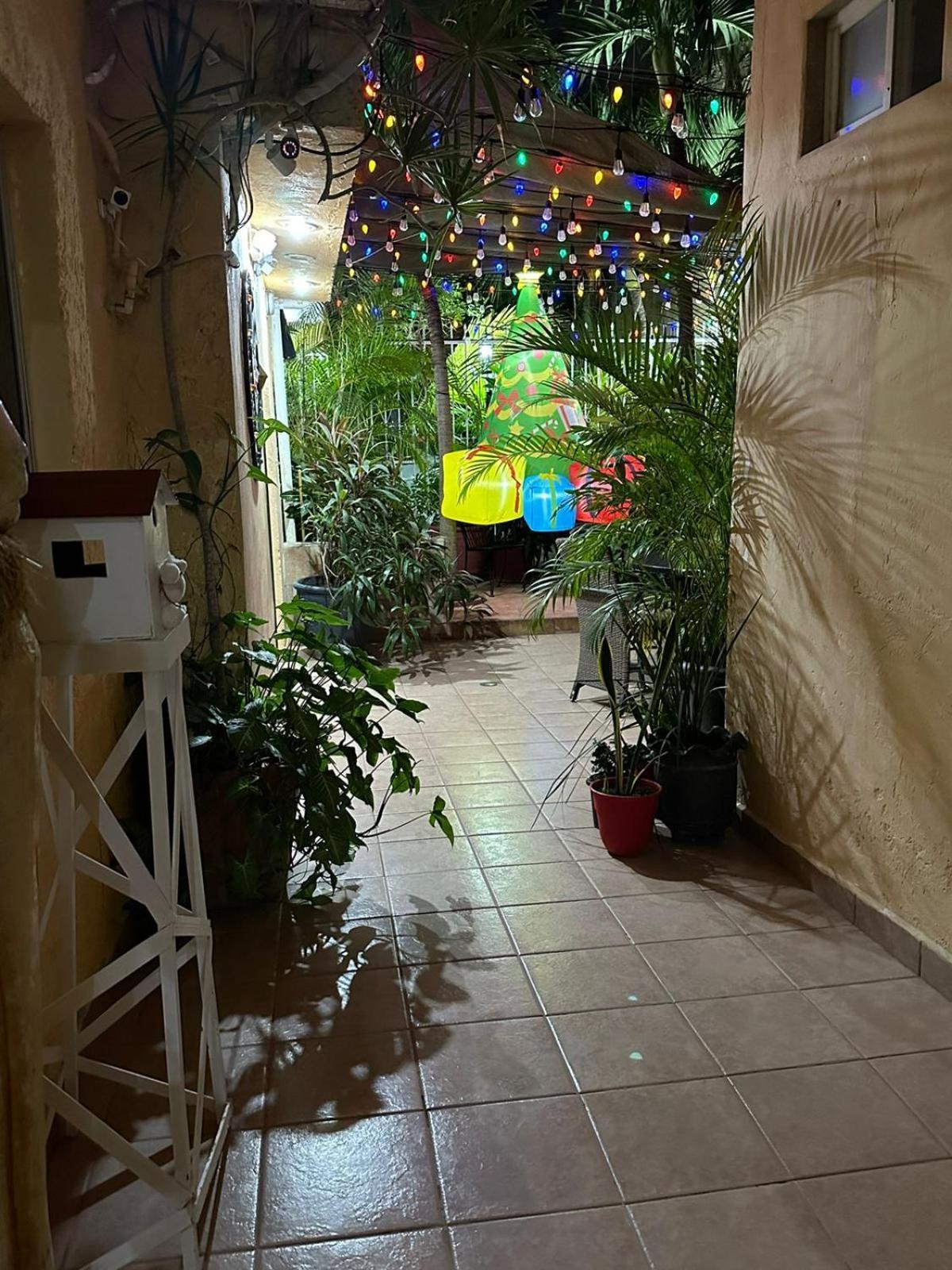 Hotel Posada Marcas Cancun Bagian luar foto
